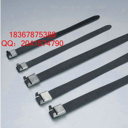 廠家供應(yīng)南通市不銹鋼扎帶不銹鋼電纜標(biāo)牌304材質(zhì)4.6 250mm型號市場批發(fā)